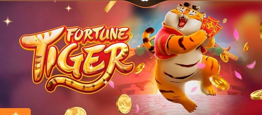 machineslot kinh nghiệm đặt cược